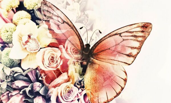 Fototapeta Motyl z Kwiatami