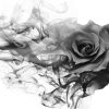 Fototapeta Dymiąca Róża