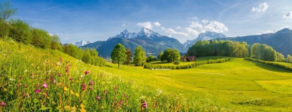 Fototapeta Widok w Alpach
