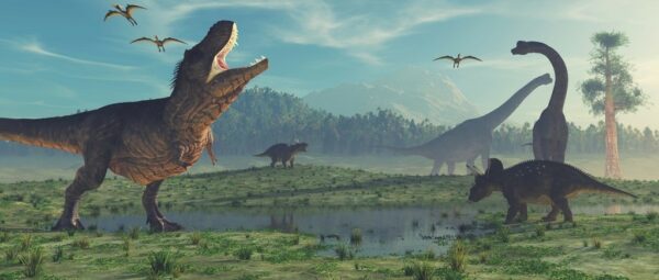 Fototapeta Wyspa Dinozaurów