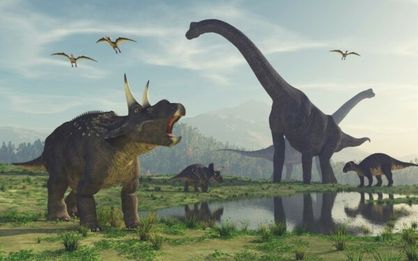 Fototapeta Świat Dinozaurów