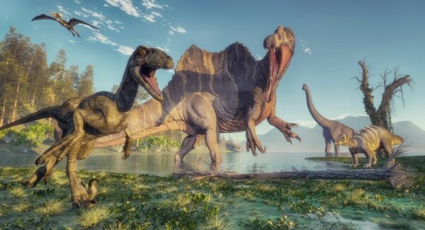 Fototapeta Dinozaury
