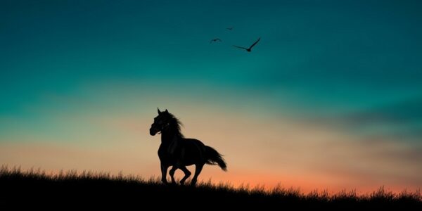 Obraz Biegnący Koń