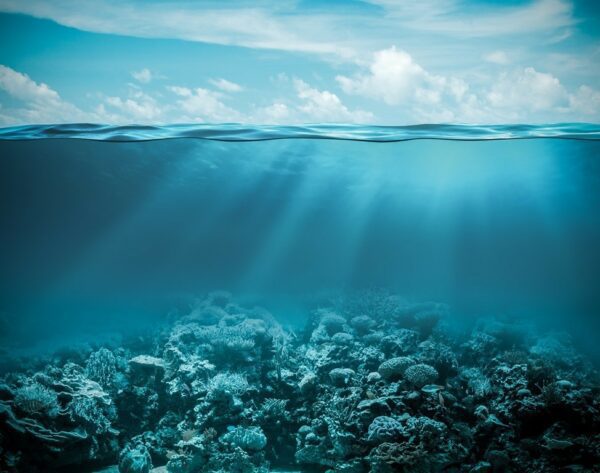 Fototapeta Podwodny Ocean