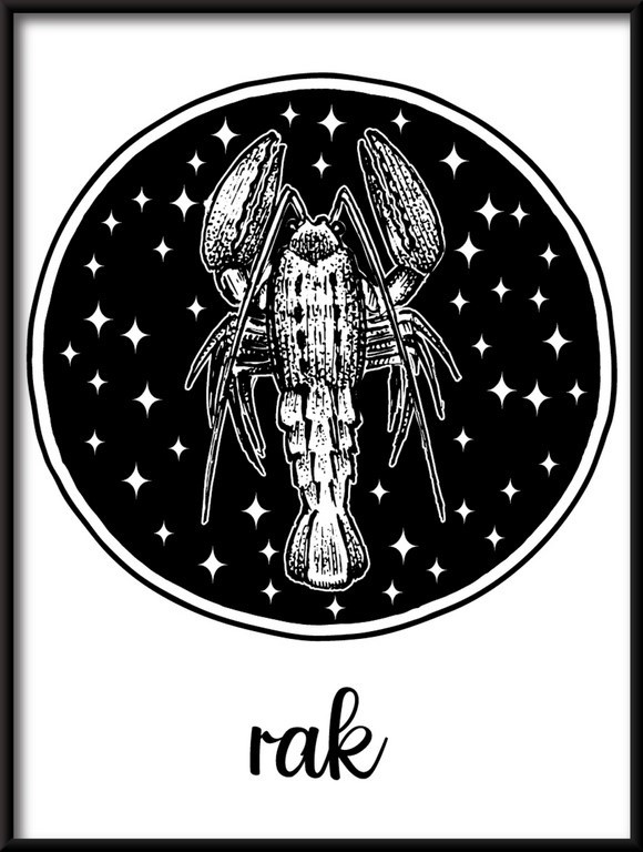 Plakat Znak Zodiaku-Rak