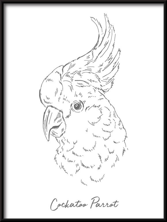 Plakat Liniowy Papuga