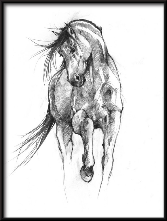 Plakat Rysunek Konia