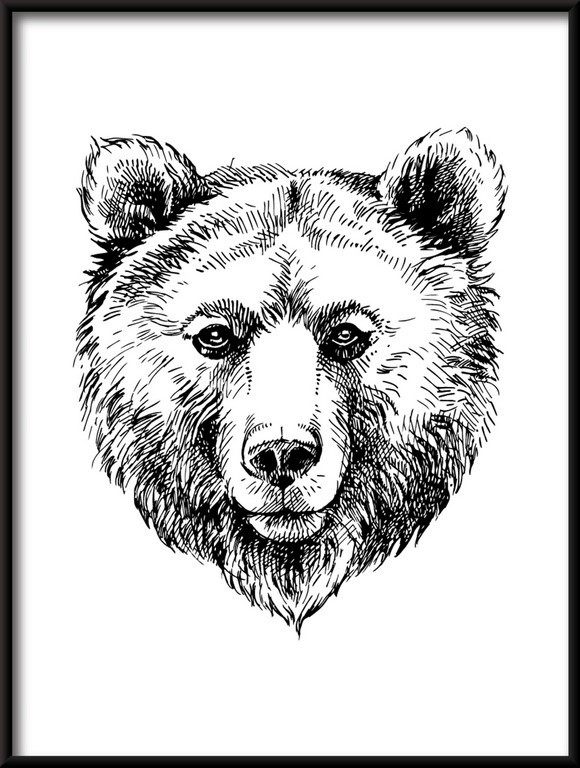 Plakat Rysowany Niedźwiedź