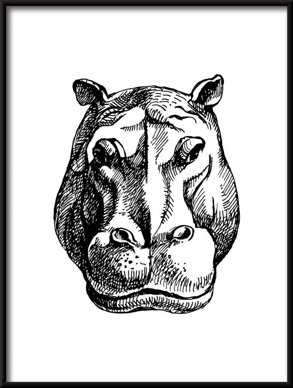 Plakat Rysowany Hipopotam