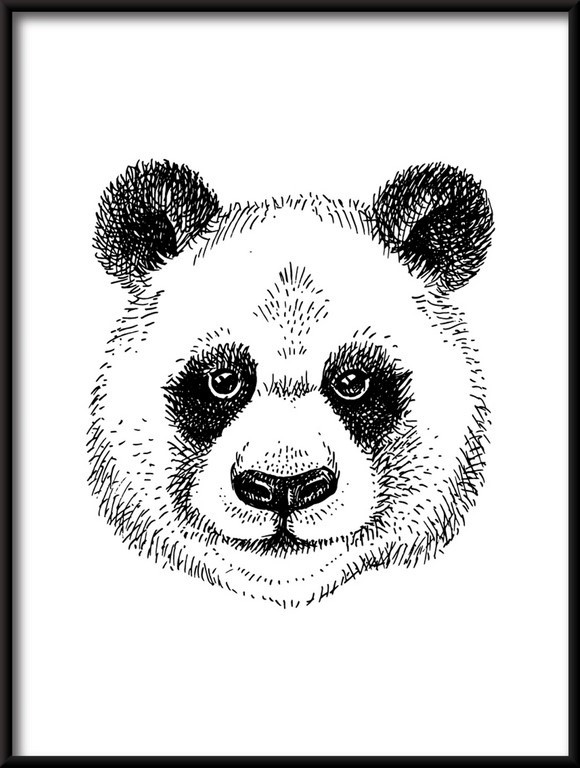 Plakat Rysowana Panda
