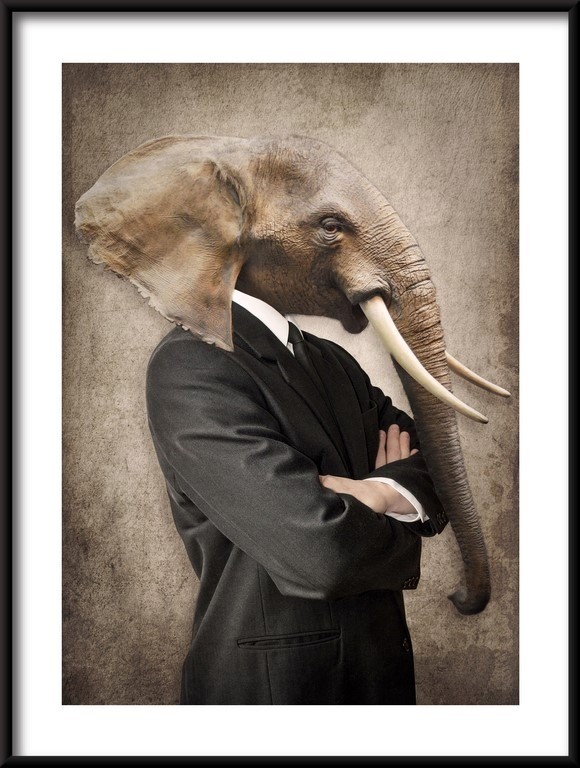 Plakat Słoń w Garniturze