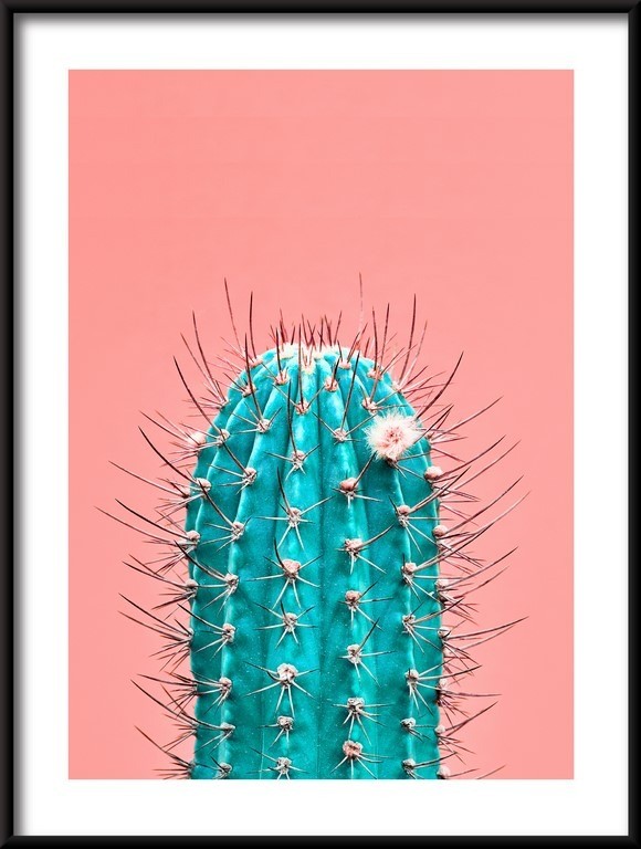 Plakat Zielony Kaktus