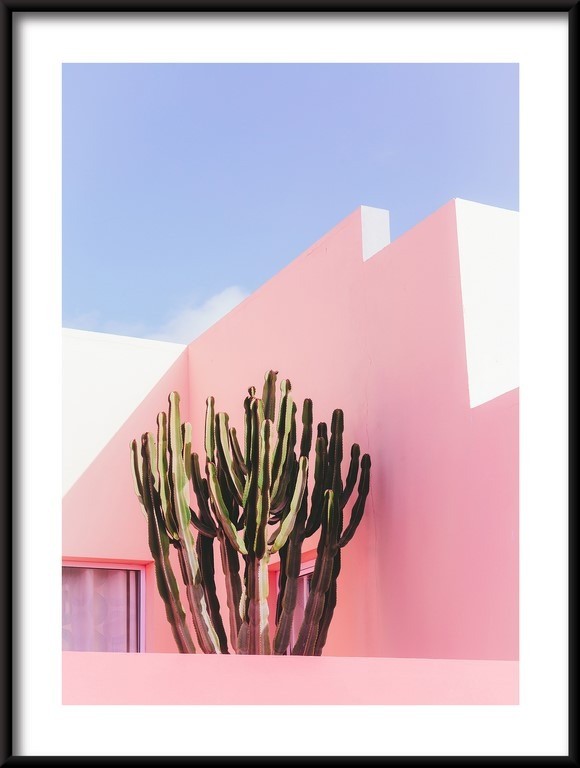Plakat Kaktus na Tle Różu