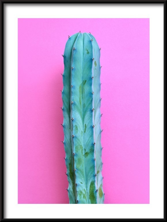 Plakat Neonowy Nastrój Kaktusa