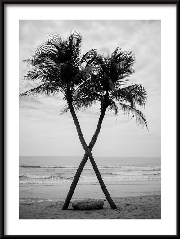 Plakat Palmy na Plaży