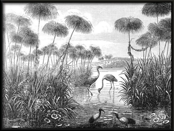 Plakat Retro Flamingo
