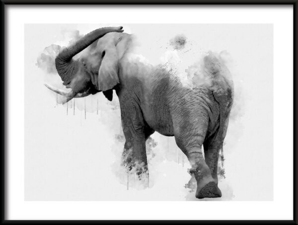Plakat Piękny Malowany Słoń