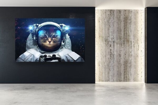 Obraz Kot Kosmonauta