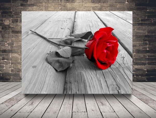 Obraz Róża na Drewnie