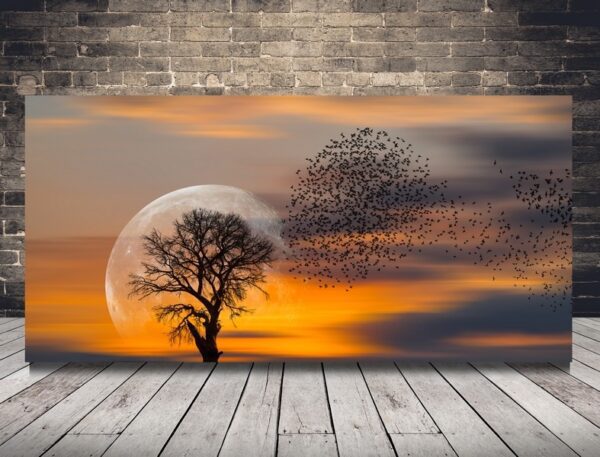 Obraz Drzewo na Tle Słońca