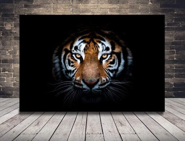 Obraz Oblicze Tygrysa