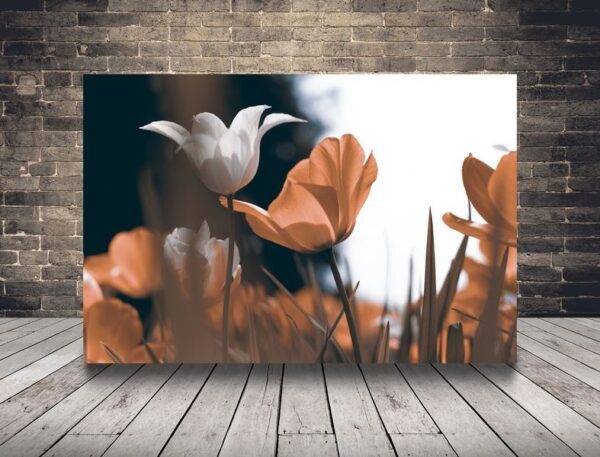 Obraz Wiosenne Tulipany