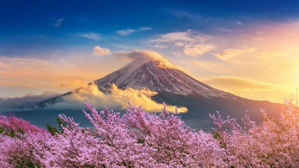 Fototapeta Góra Fuji Japonia