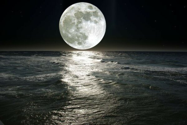 Fototapeta Pełnia Księżyca