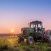 Fototapeta Wesoła Farma