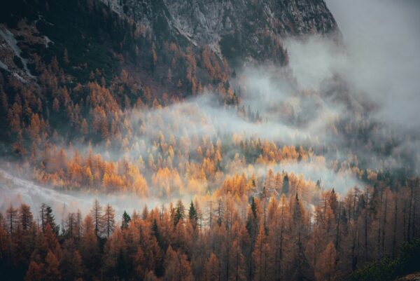 Fototapeta Zamglone Alpy