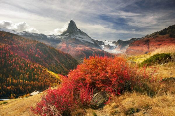Fototapeta Barwny Matterhorn