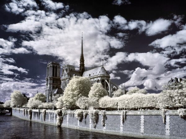Fototapeta Paryska Katedra