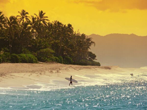 Fototapeta Hawajski Surfer