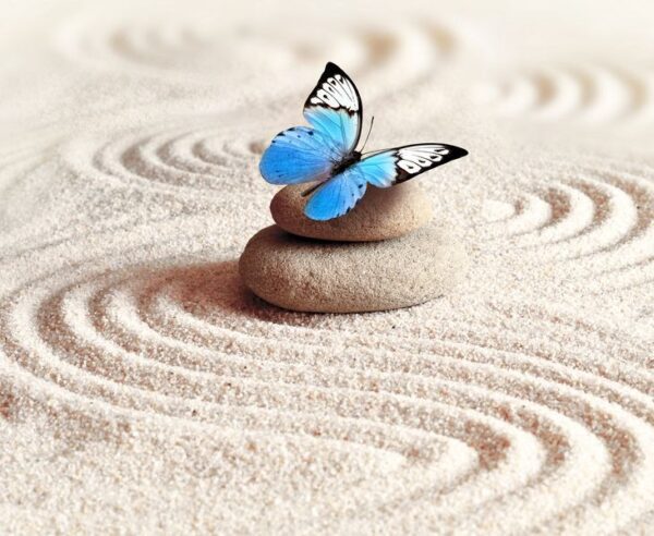 Fototapeta Niebieski Motyl