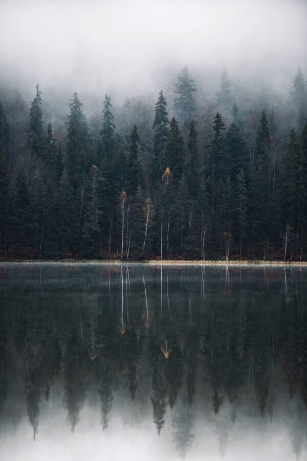 Fototapeta Ciemne Jezioro