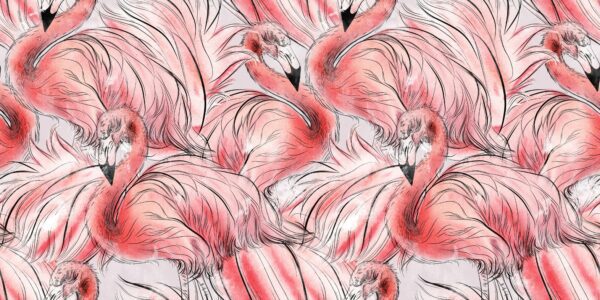 Fototapeta Stado Flamingów