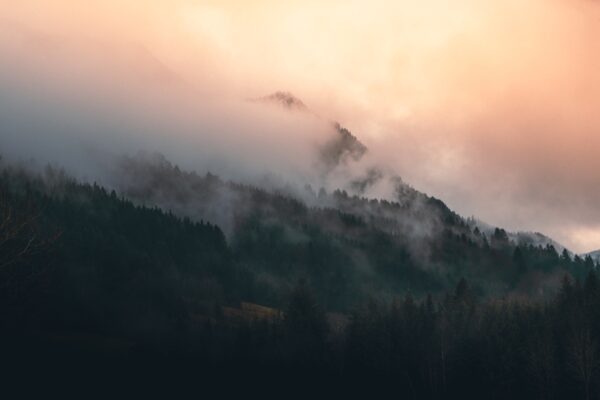 Fototapeta Różowa Mgła