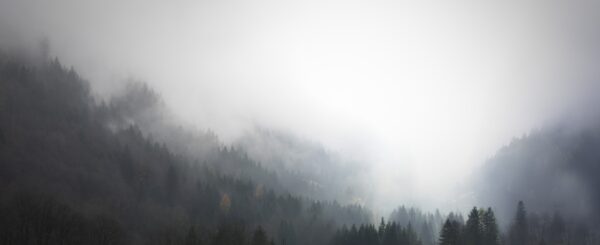 Fototapeta Tajemnicza Mgła