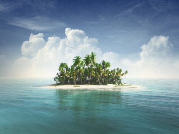Fototapeta Wyspa Palm