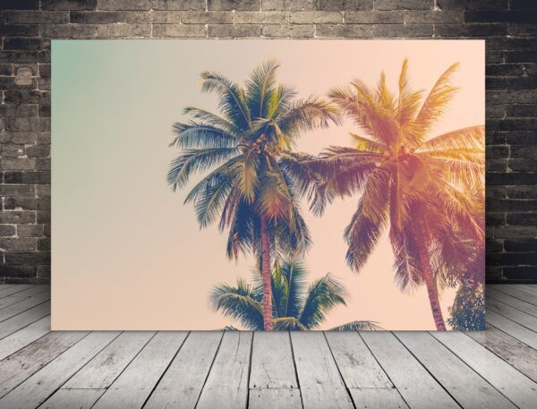 Obraz Kokosowe Palmy
