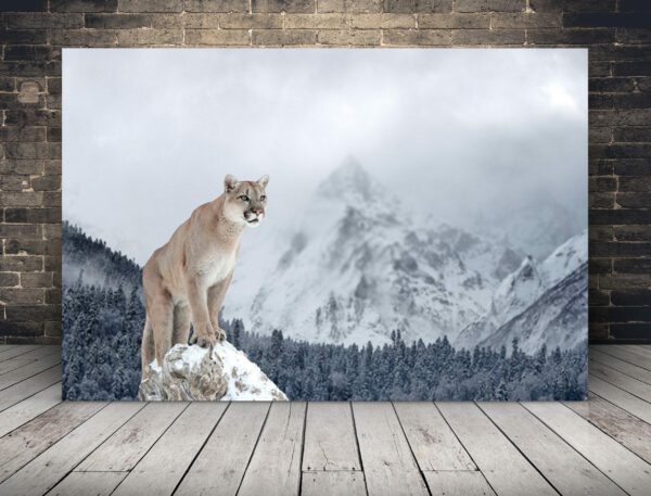 Obraz Puma W Górach