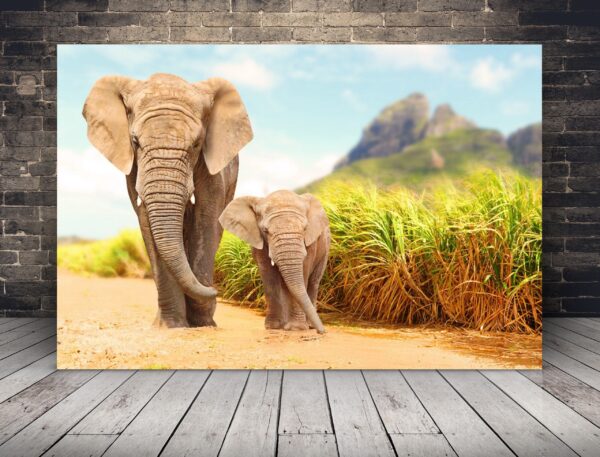 Obraz Idące Słonie