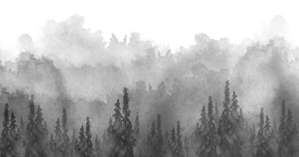 Fototapeta Leśna Mgła