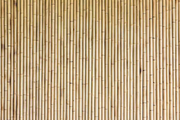 Fototapeta Bambusowa Ściana