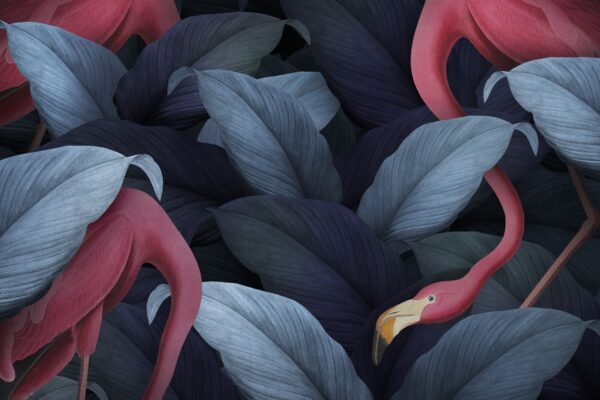 Fototapeta Flamingi w Granacie