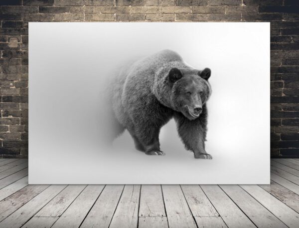 Obraz Niedźwiedź we Mgle
