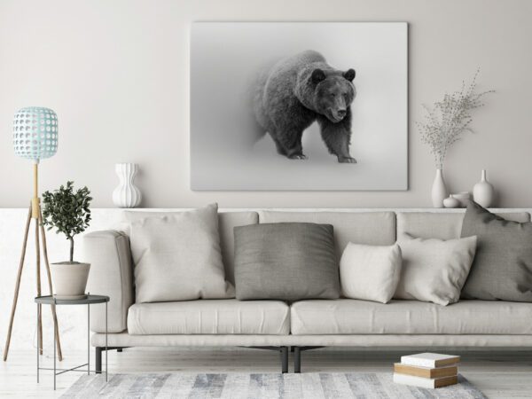 Obraz Niedźwiedź we Mgle