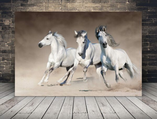 Obraz Trzy Pędzące Konie