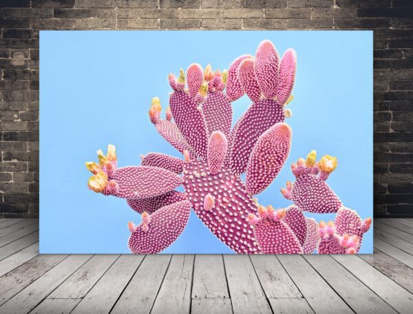 Obraz Różowy Kaktus