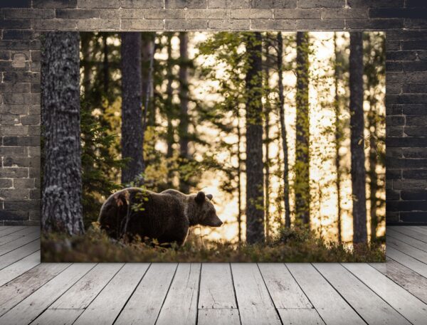 Obraz Niedźwiadek w Lesie